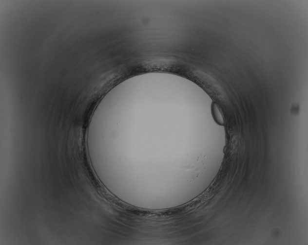 X0000094800498200711160944