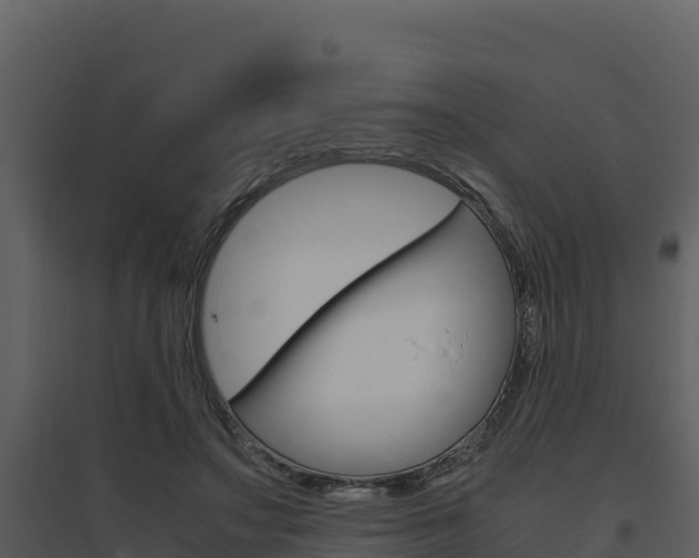 X0000094800499200711160944