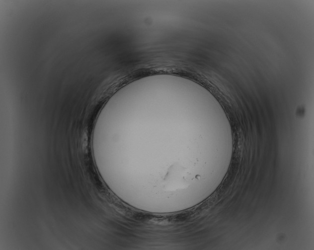 X0000094800502200711160944