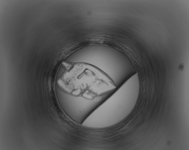 X0000094800504200711160944