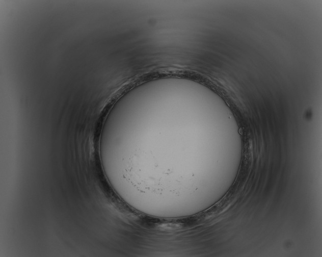 X0000094800508200711160944