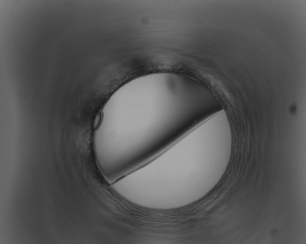 X0000094800509200711160944