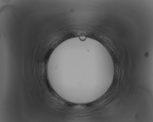 X0000094800511200711160944