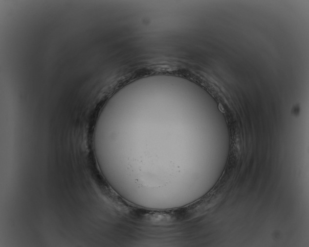 X0000094800512200711160944