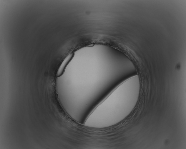 X0000094800513200711160944