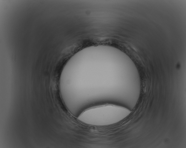 X0000094800515200711160944