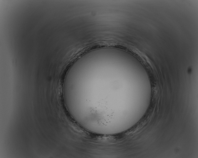 X0000094800517200711160944