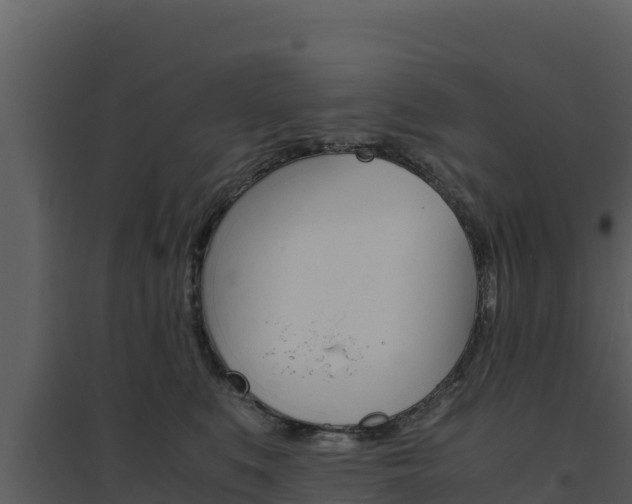 X0000094800519200711160944