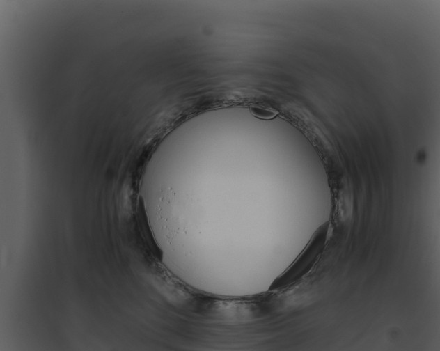 X0000094800520200711160944
