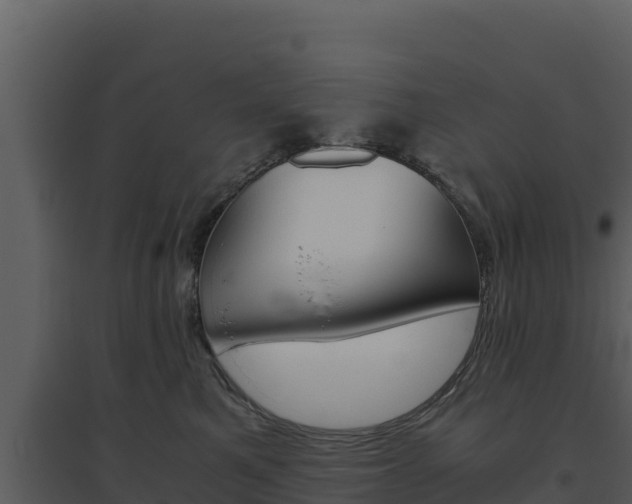 X0000094800521200711160944