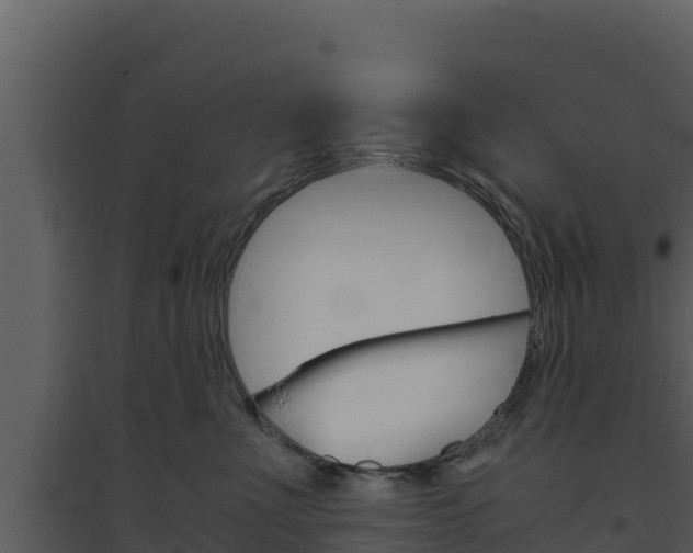 X0000094800523200711160943