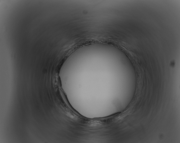 X0000094800528200711160943