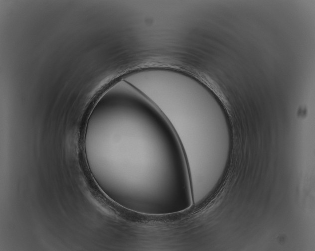 X0000094800530200711160943