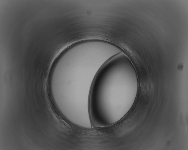 X0000094800532200711160943