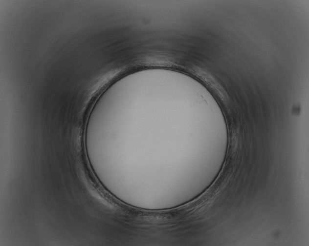 X0000094800533200711160943