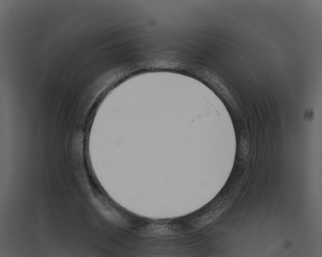 X0000094800534200711160943