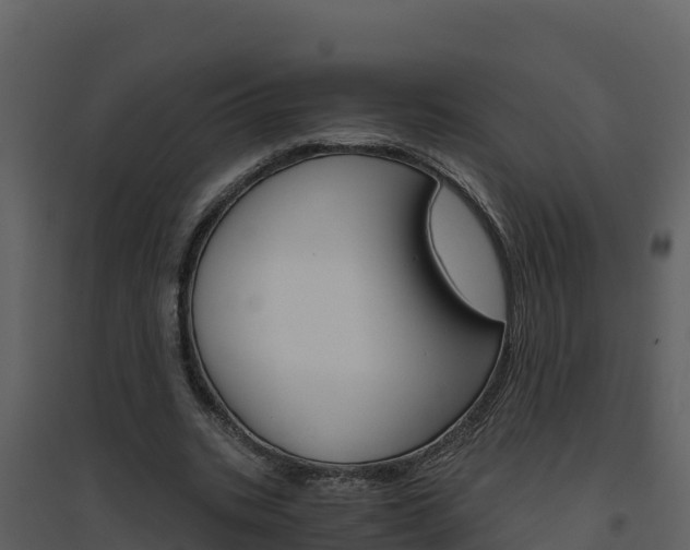 X0000094800535200711160943