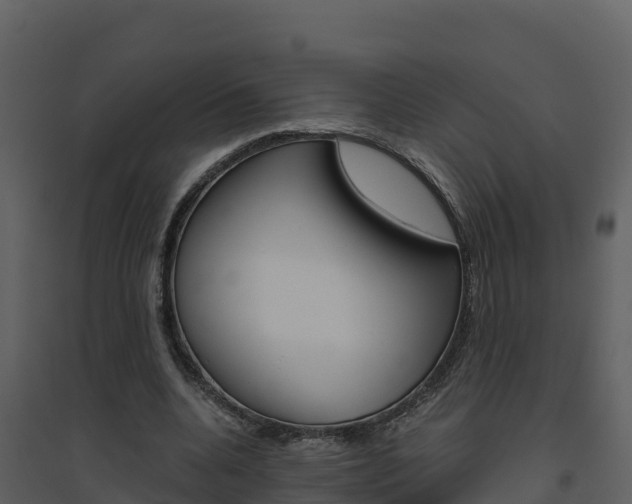 X0000094800536200711160943