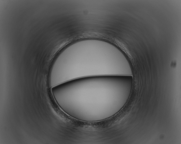 X0000094800538200711160943