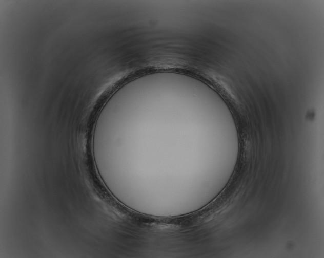 X0000094800539200711160943