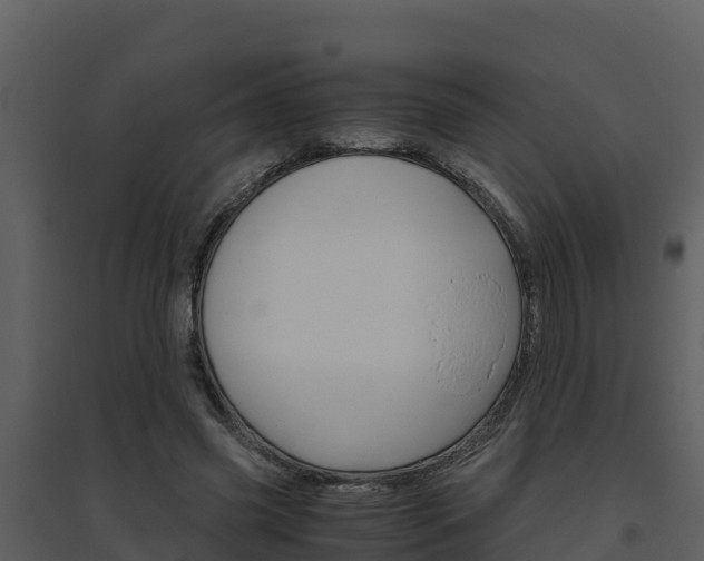 X0000094800541200711160943