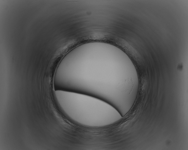 X0000094800542200711160943