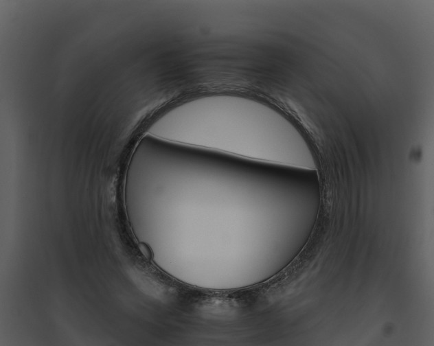 X0000094800543200711160943