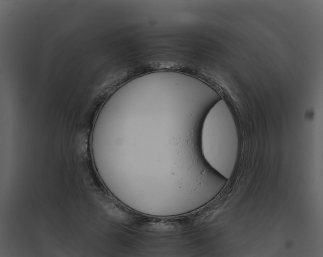 X0000094800545200711160943