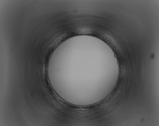 X0000094800549200711160943