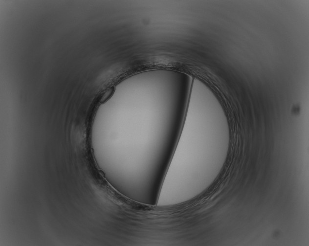 X0000094800552200711160943