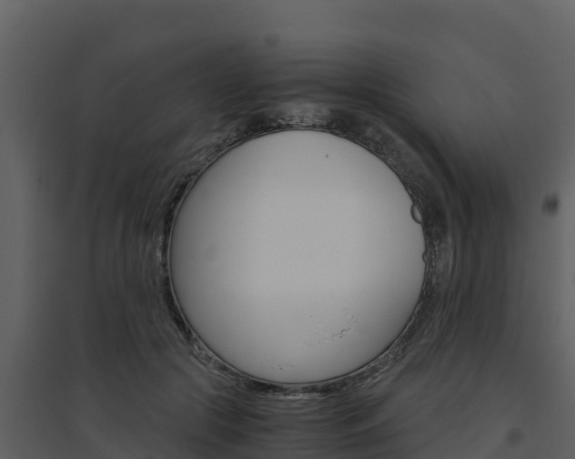 X0000094800553200711160943