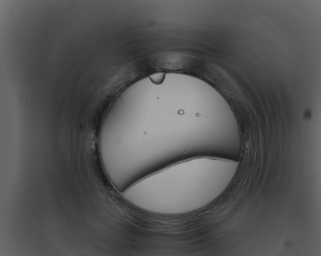 X0000094800555200711160943