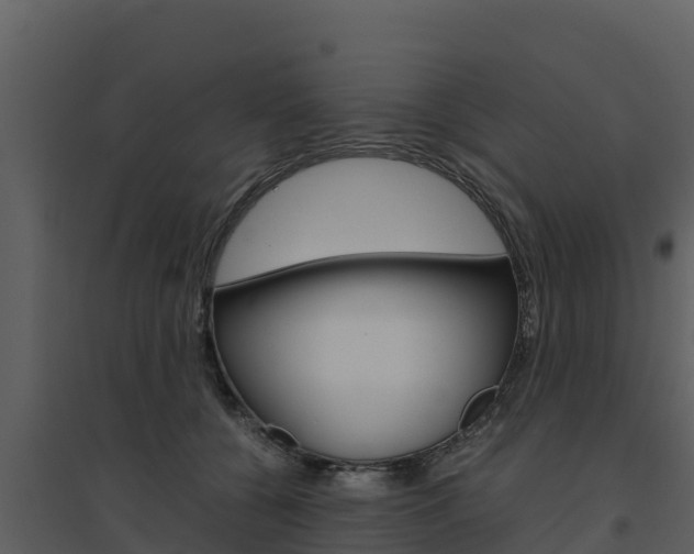 X0000094800560200711160943