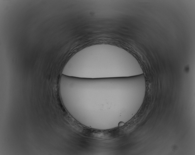 X0000094800561200711160943