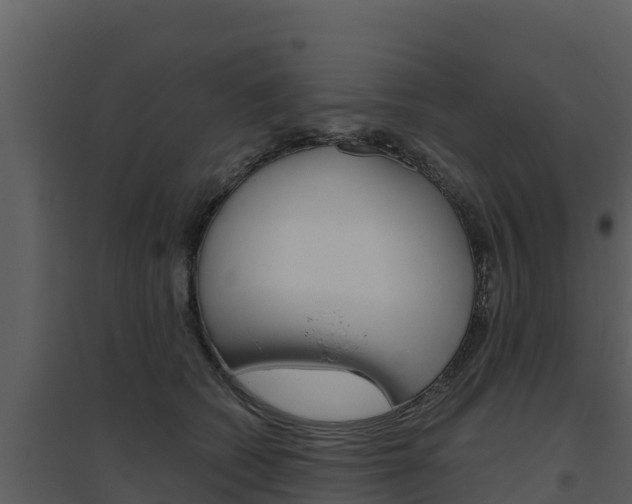 X0000094800562200711160943