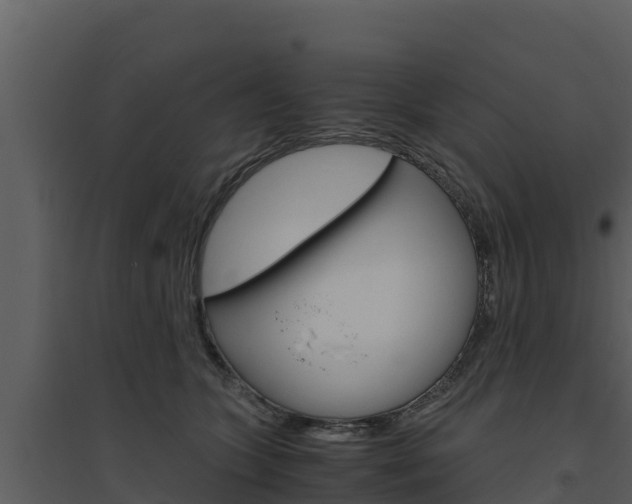 X0000094800563200711160943