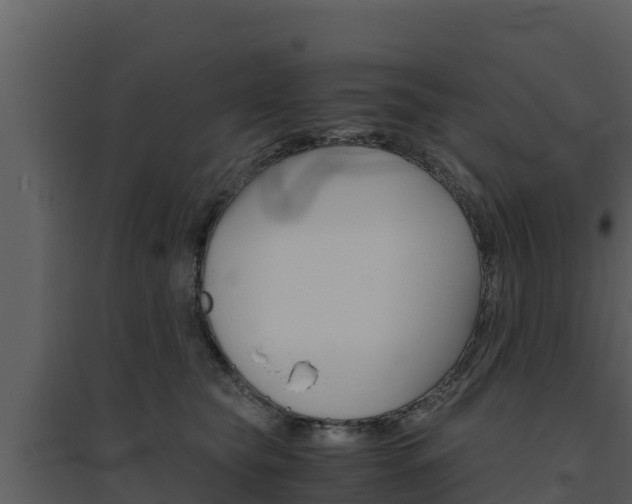 X0000094800565200711160943