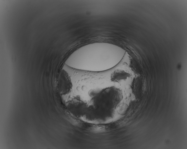 X0000094800569200711160943