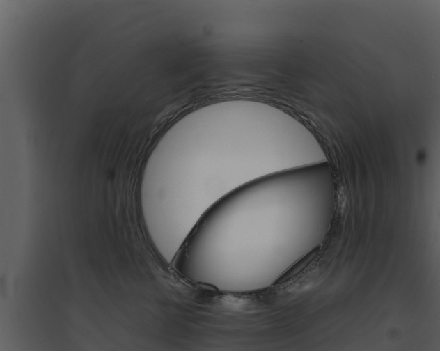 X0000094800570200711160943