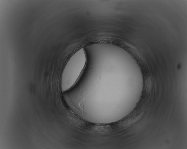 X0000094800571200711160943