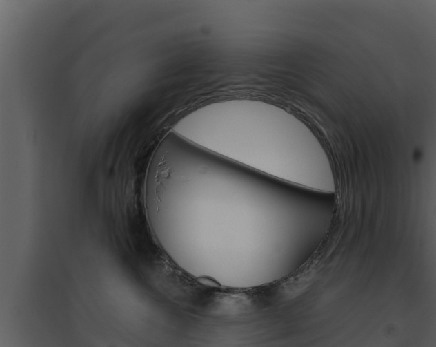 X0000094800572200711160943