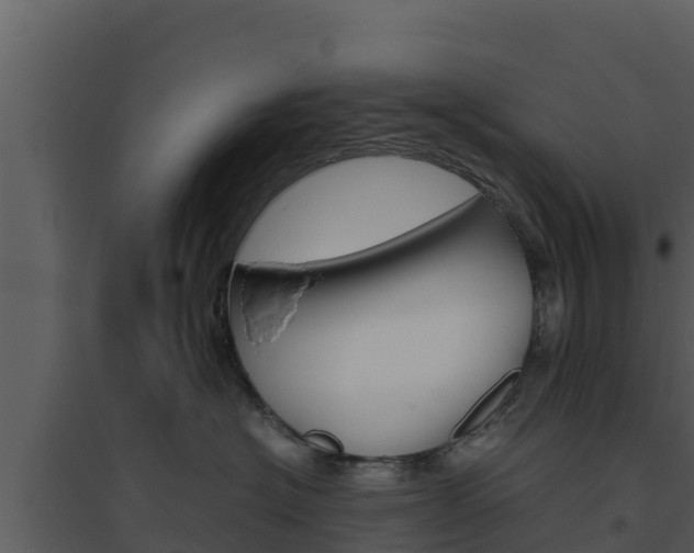 X0000094800574200711160943