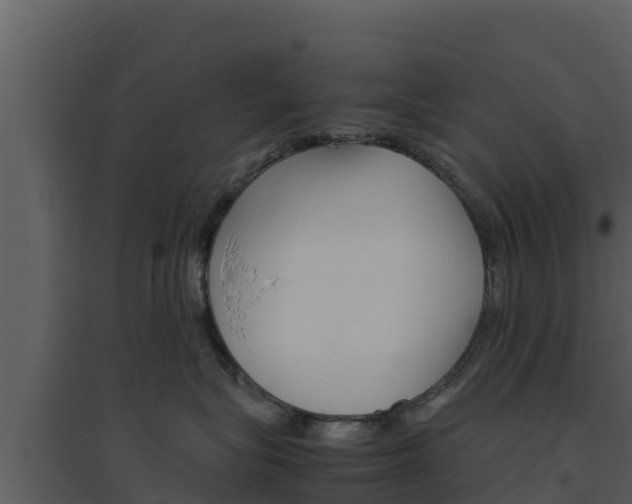 X0000094800575200711160943