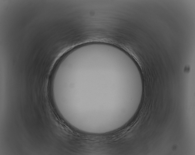 X0000094800579200711160943