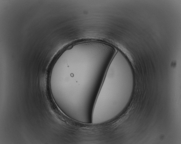 X0000094800580200711160943