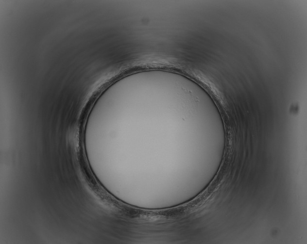 X0000094800582200711160943