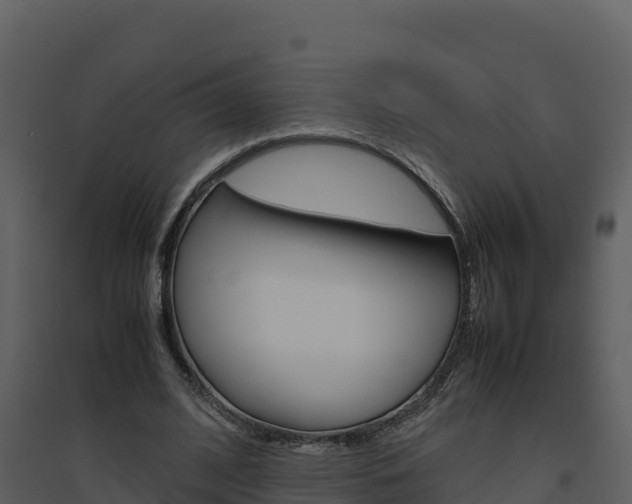X0000094800584200711160942