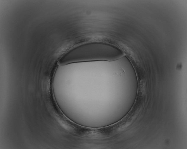X0000094800589200711160942
