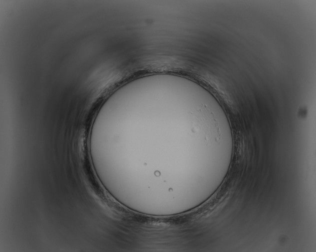 X0000094800590200711160942
