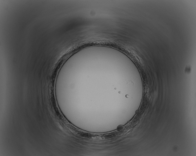 X0000094800591200711160942